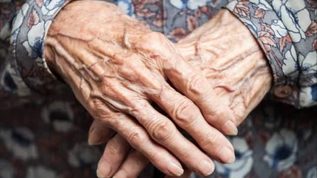 Yaşlanma deneyinde dikkat çeken sonuç: Erkek solucanların ömrü yüzde 446 uzadı