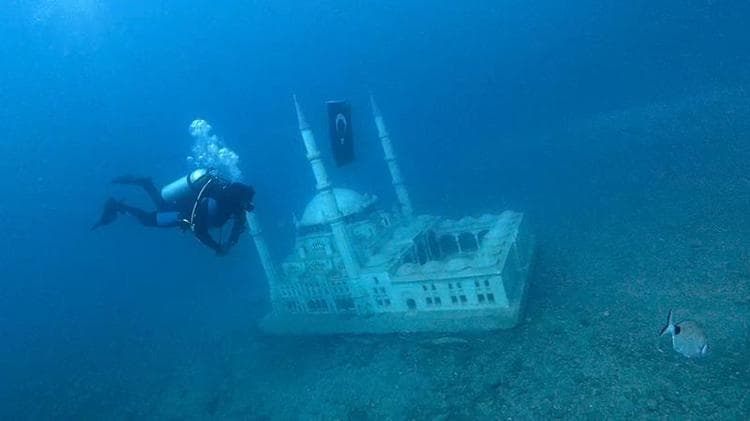 Saros Körfezi’nde batırılan yapay resifler, su altı canlılarının yaşam alanı oldu